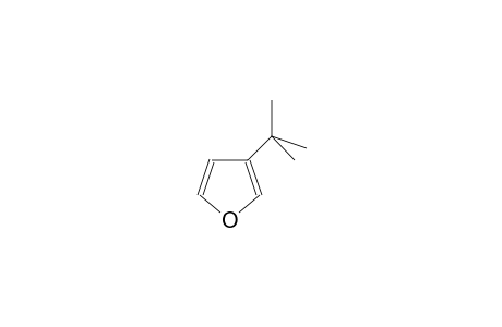 3-tert-Butyl-furan