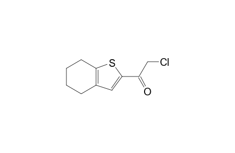 2-Chloranyl-1-(4,5,6,7-tetrahydro-1-benzothiophen-2-yl)ethanone
