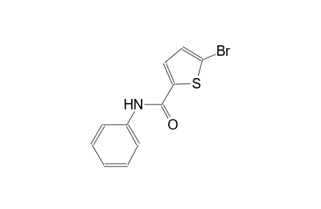 5-bromo-N-phenylthiophene-2-carboxamide