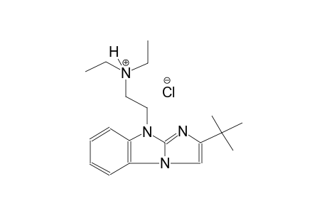 2-(2-tert-butyl-9H-imidazo[1,2-a]benzimidazol-9-yl)-N,N-diethylethanaminium chloride