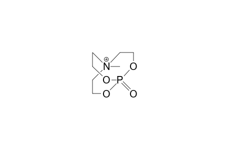 1-Oxa-1-phospha-5-aza-5-methyl-2,8,9-trioxa-bicyclo(3.3.3)undec-5-yl cation