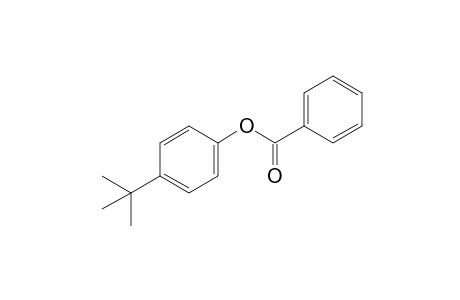 p-tert-BUTYLPHENOL, BENZOATE