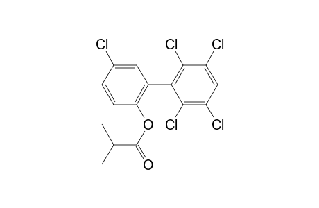 2-Hydroxy-2',3',5,5',6'-pentachlorobiphenyl, 2-methylpropionate