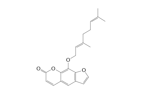 Xanthotoxol geranyl ether