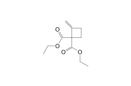 Diethyl 2-methylenecyclobutane-1,1-dicarboxylate