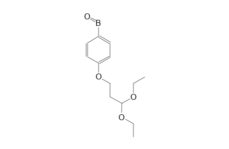 [4-(3,3-diethoxypropoxy)phenyl](oxo)borane