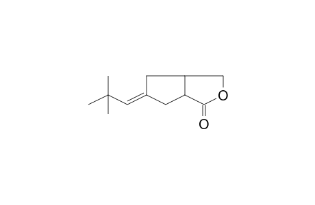 3-Oxabicyclo[3.3.0]octan-2-one, 7-neopentylidene-