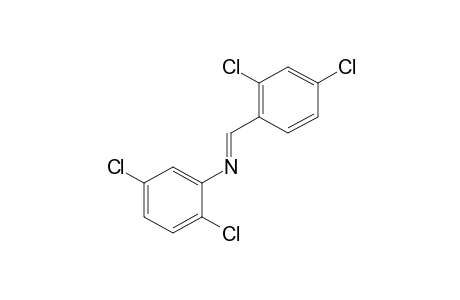 2,5-dichloro-N-(2,4-dichlorobenzylidene)aniline