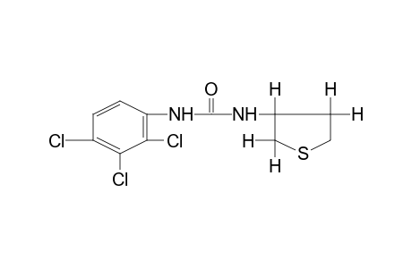 1-(tetrahydro-3-thienyl)-3-(2,3,4-trichlorophenyl)urea