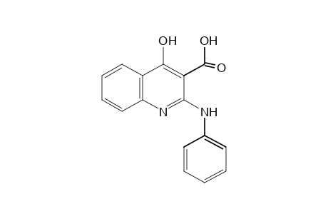 2-ANILINO-4-HYDROXY-3-QUINOLINECARBOXYLIC ACID