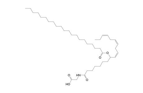NAGly 21:0/18:3