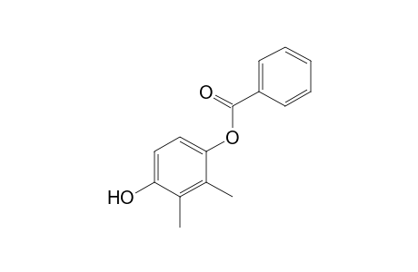 2,3-dimethylhydroquinone, monobenzoate