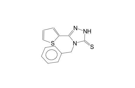 3-(2-thienyl)-4-benzyl-4,5-dihydro-1H-1,2,4-triazol-5-thione