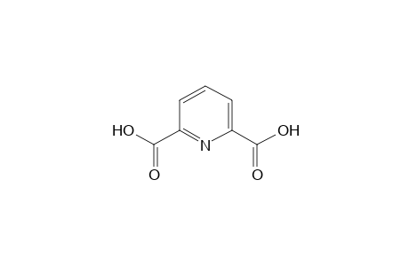 2,6-Pyridine dicarboxylic acid