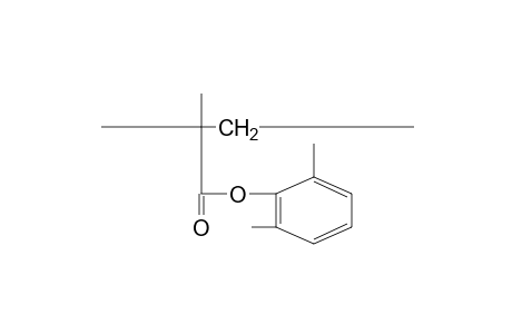 Poly(2,6-xylenyl methacrylate)