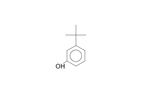 3-Tert-butylphenol