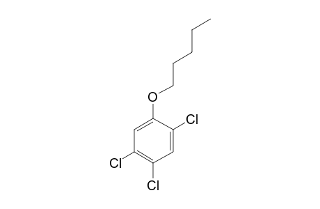 2,4,5-Trichlorophenol, N-pentyl ether