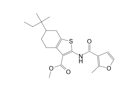 methyl 2-[(2-methyl-3-furoyl)amino]-6-tert-pentyl-4,5,6,7-tetrahydro-1-benzothiophene-3-carboxylate