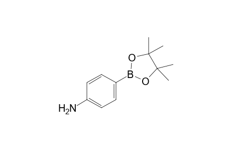 4-(4,4,5,5-Tetramethyl-1,3,2-dioxaborolan-2-yl)aniline