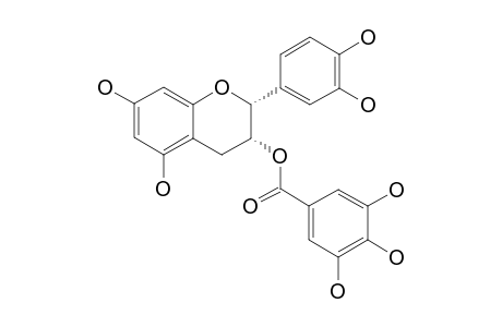 (-)-EPICATECHIN-3-O-GALLATE