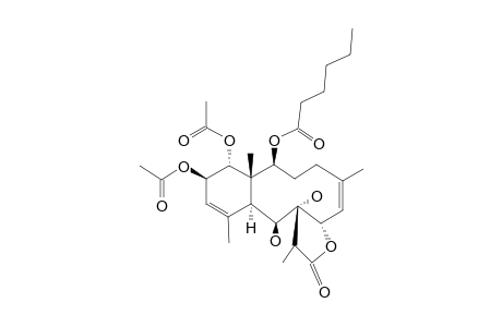 CAVERNULINE