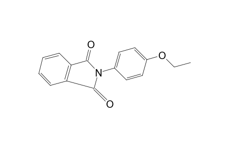 N-(p-ethoxphenyl)phthalimide