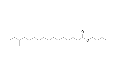 Butyl 14-methylhexadecanoate