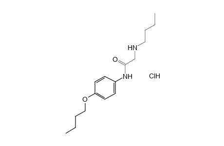 4'-butoxy-2-(butylamino)acetanilide, monohydrochloride