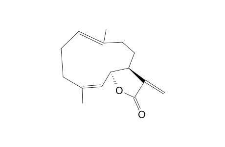 MELAMPOLIDE