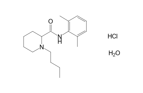 Bupivacaine HCl monohydrate