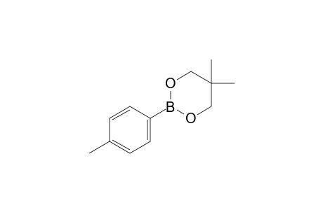 4-Methylbenzeneboronic acid neopentyl glycol ester