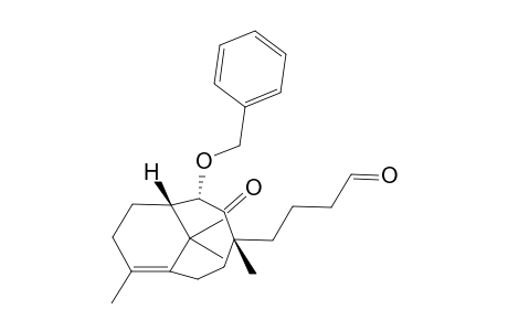 4-((4R,6S,7S)-6-Benzyloxy-4,10,11,11-tetramethyl-5-oxo-bicyclo[5.3.1]undec-1(10)-en-4-yl)-butyraldehyde