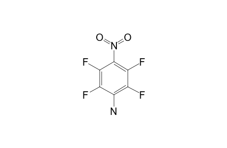 (2,3,5,6-tetrafluoro-4-nitro-phenyl)amine