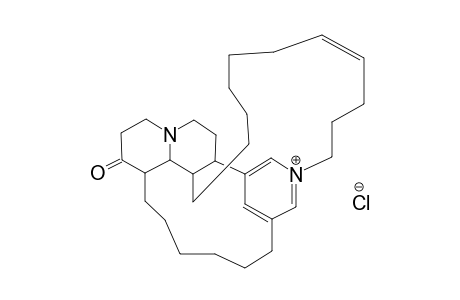 ISOSARAIN-1,QUARTERNARY-NITROGENE