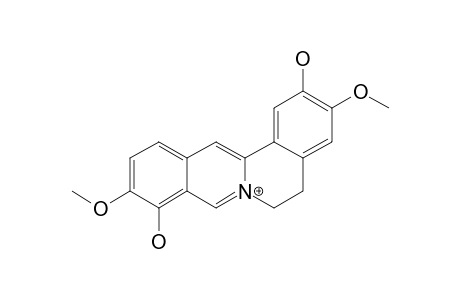 DEHYDROSCOULERINE