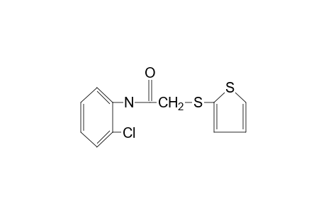 2'-chloro-2-[(2-thienyl)thio]acetanilide