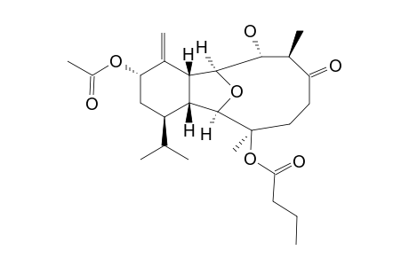 KREMPFIELIN-G