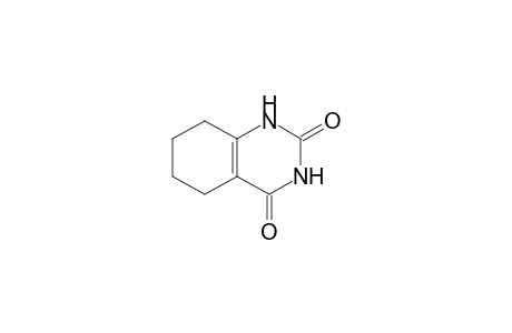 5,6,7,8-tetrahydro-1H-quinazoline-2,4-dione