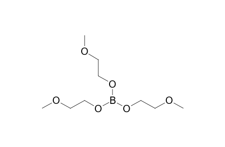 TRIS-(2-METHOXYETHOXY)-BORANE