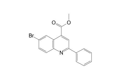 6-bromo-2-phenylcinchoninic acid, methyl ester