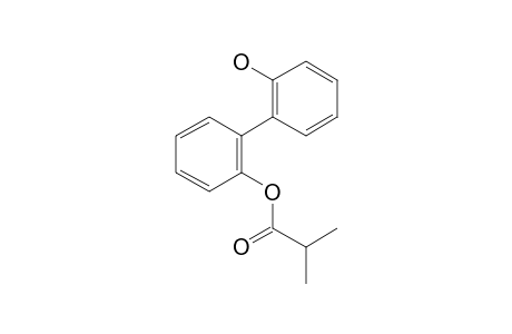 2,2'-Dihydroxybiphenyl, 2-methylpropionate