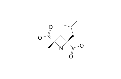 (-)-MONASCUMIC-ACID;(-)-SYN-2-ISOBUTYL-4-METHYLAZETIDINE-2,4-DICARBOXYLIC-ACID