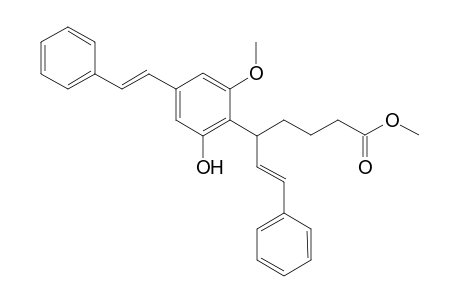 Idenburgene