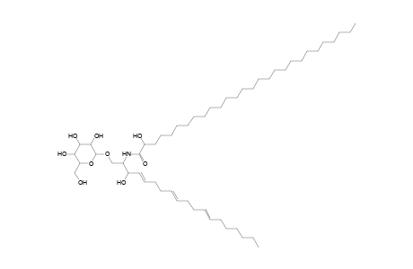 HexCer 19:3;2O/28:0;O