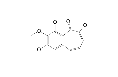 2,3-DIMETHYLPURPUROGALLIN