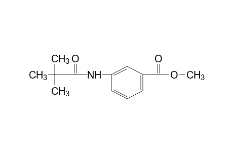 m-pivalamidobenzoic acid, methyl ester