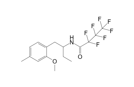 2,2,3,3,4,4,4-heptafluoro-N-(1-(2-methoxy-4-methylphenyl)butan-2-yl)butanamide