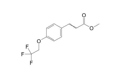 Methyl 3-(4-(2,2,2-trifluoroethoxy)phenyl)acrylate