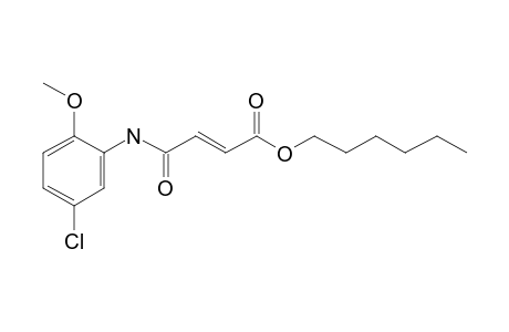 Fumaric acid, monoamide, N-(2-methoxy-5-chlorophenyl)-, hexyl ester