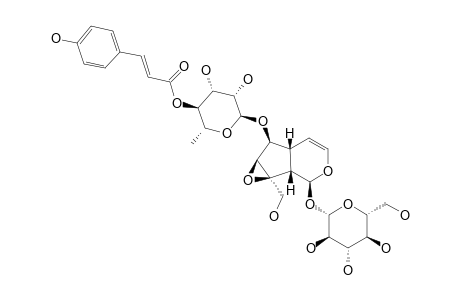 SCROPOLIOSIDE-F;6-O-ALPHA-L-(4''-O-TRANS-PARA-COUMAROYL)-RHAMNOPYRANOSYL-CATALPOL